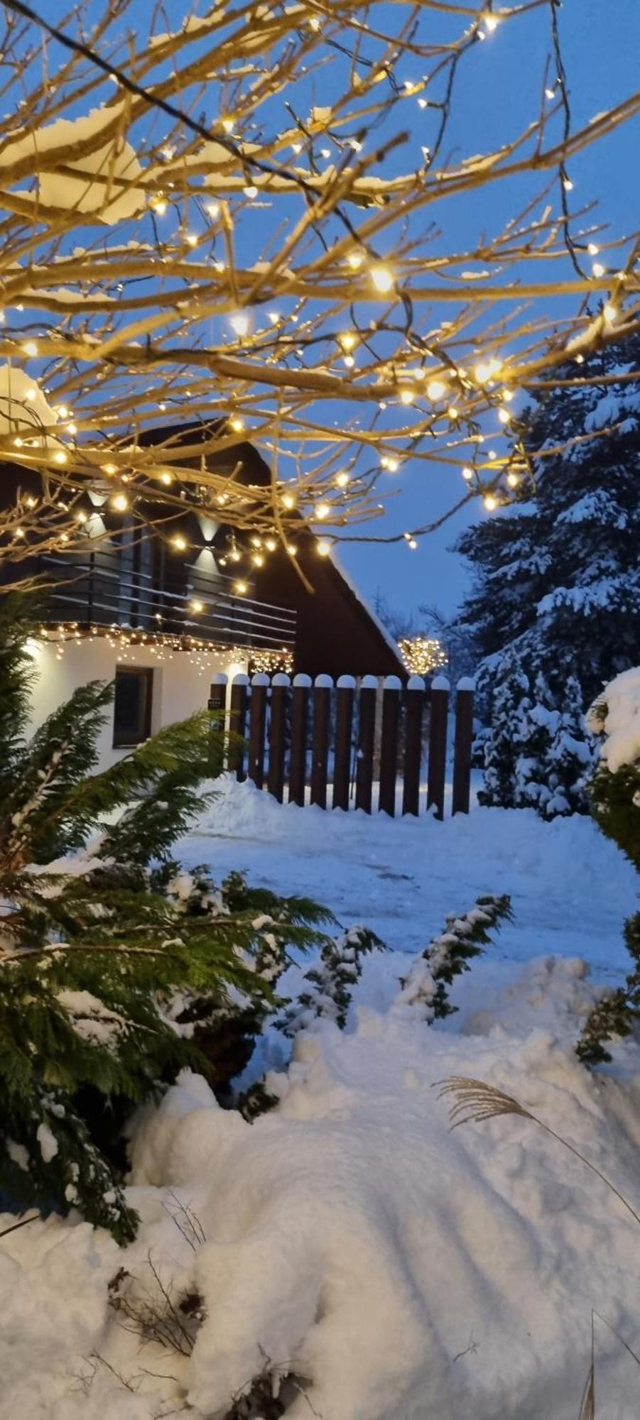 Apartament Willa Pod Sosnami Zator Przeciszow 외부 사진